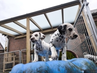 IMG_20250220_155545_web