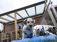 IMG_20250220_155546_web