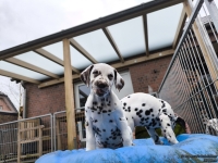 IMG_20250220_155547_web