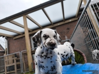 IMG_20250220_155548_web