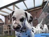 IMG_20250220_155550_web