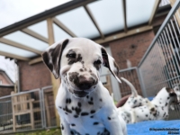 IMG_20250220_155551_web