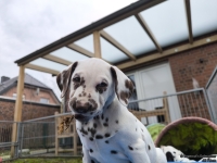 IMG_20250220_155552_web