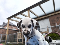 IMG_20250220_155553_web