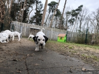 IMG_20250220_155629_1_web