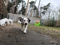 IMG_20250220_155630_web