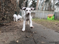 IMG_20250220_155635_3_web