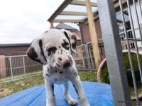 IMG_20250220_155648_1_web