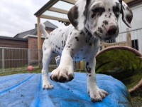 IMG_20250220_155648_web