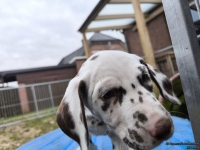 IMG_20250220_155649_web