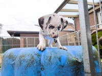 IMG_20250220_155650_web