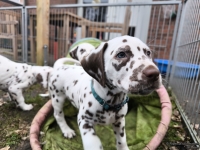 IMG_20250220_155704_web