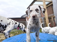 IMG_20250220_155716_web