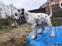 IMG_20250220_155719_web