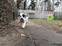 IMG_20250220_155722_1_web