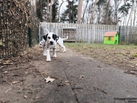 IMG_20250220_155722_web