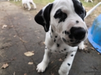 IMG_20250220_155802_1_web