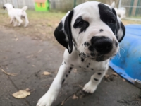 IMG_20250220_155802_web