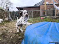 IMG_20250220_155809_1_web