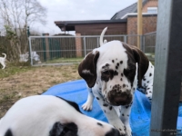 IMG_20250220_155810_web