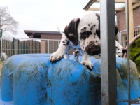 IMG_20250220_155816_1_web