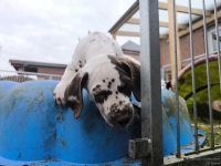 IMG_20250220_155818_web