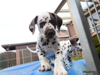 IMG_20250220_155819_web