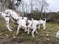 IMG_20250220_155842_web