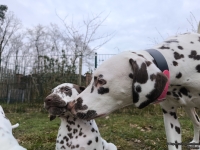 IMG_20250220_155859_web