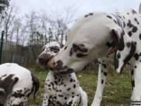 IMG_20250220_155900_web