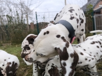 IMG_20250220_155903_web