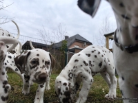 IMG_20250220_155912_web