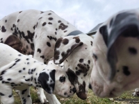 IMG_20250220_155920_1_web