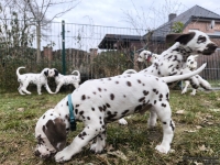 IMG_20250220_155936_1_web