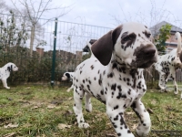 IMG_20250220_155936_web