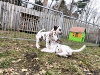 IMG_20250220_155942_1_web