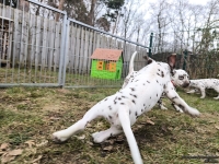 IMG_20250220_155943_web