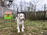 IMG_20250220_155951_web