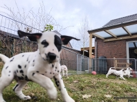 IMG_20250220_160009_2_web