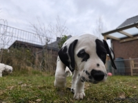 IMG_20250220_160013_1_web