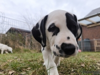 IMG_20250220_160014_web