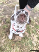 IMG_20250220_160019_web