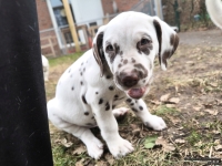 IMG_20250220_160029_web