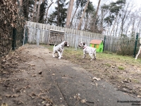 IMG_20250220_160125_web