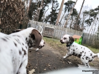 IMG_20250220_160129_1_web