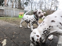 IMG_20250220_160131_web