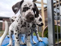 IMG_20250220_160138_web