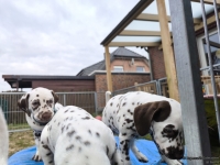 IMG_20250220_160139_web