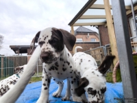 IMG_20250220_160140_web