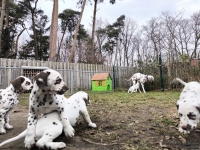 IMG_20250220_160146_web